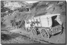 Horse-drawn ambulance at Helles