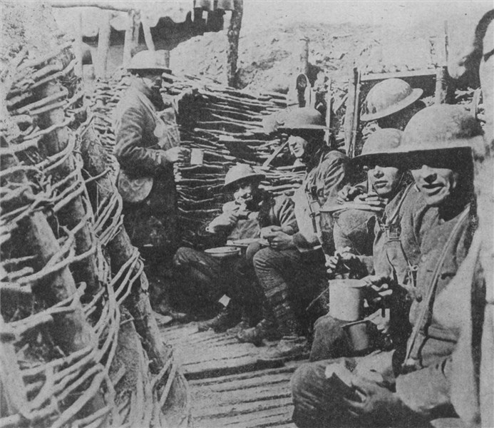 rats in ww1. ww1 trenches