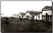 Wooden huts at the English Camp